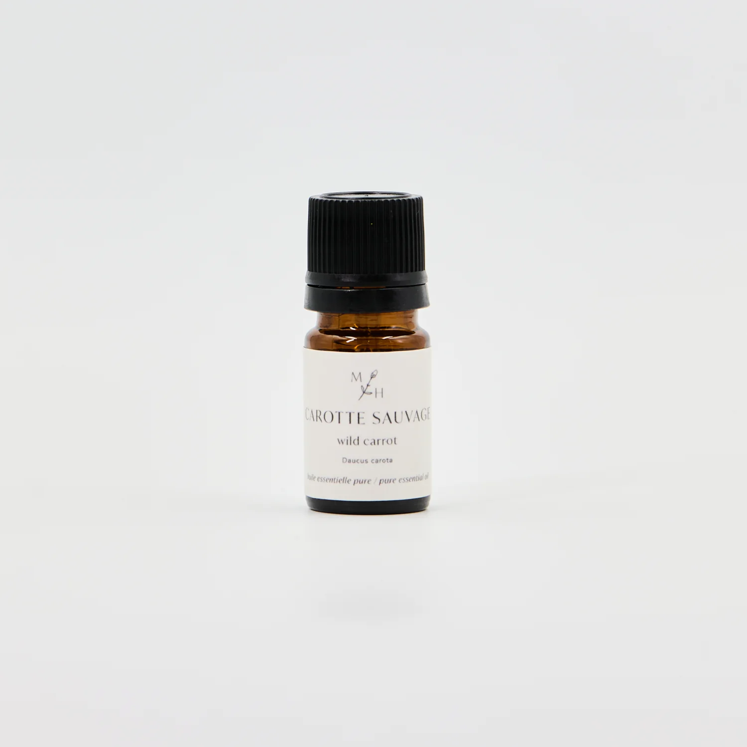 Carotte sauvage - WHOLESALE - Image 2