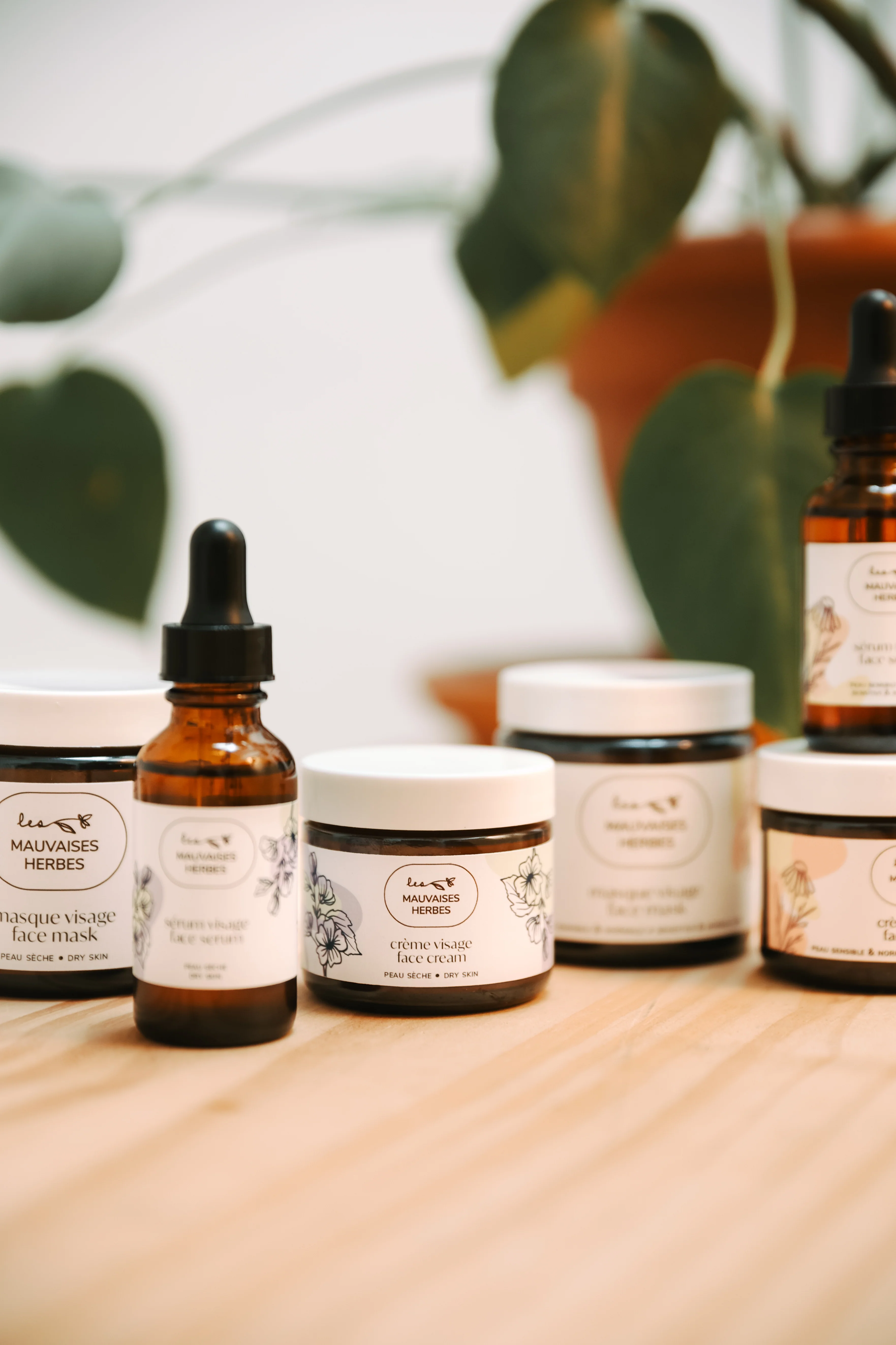 Crème visage Guimauve | Peau sèche - WHOLESALE - Image 6