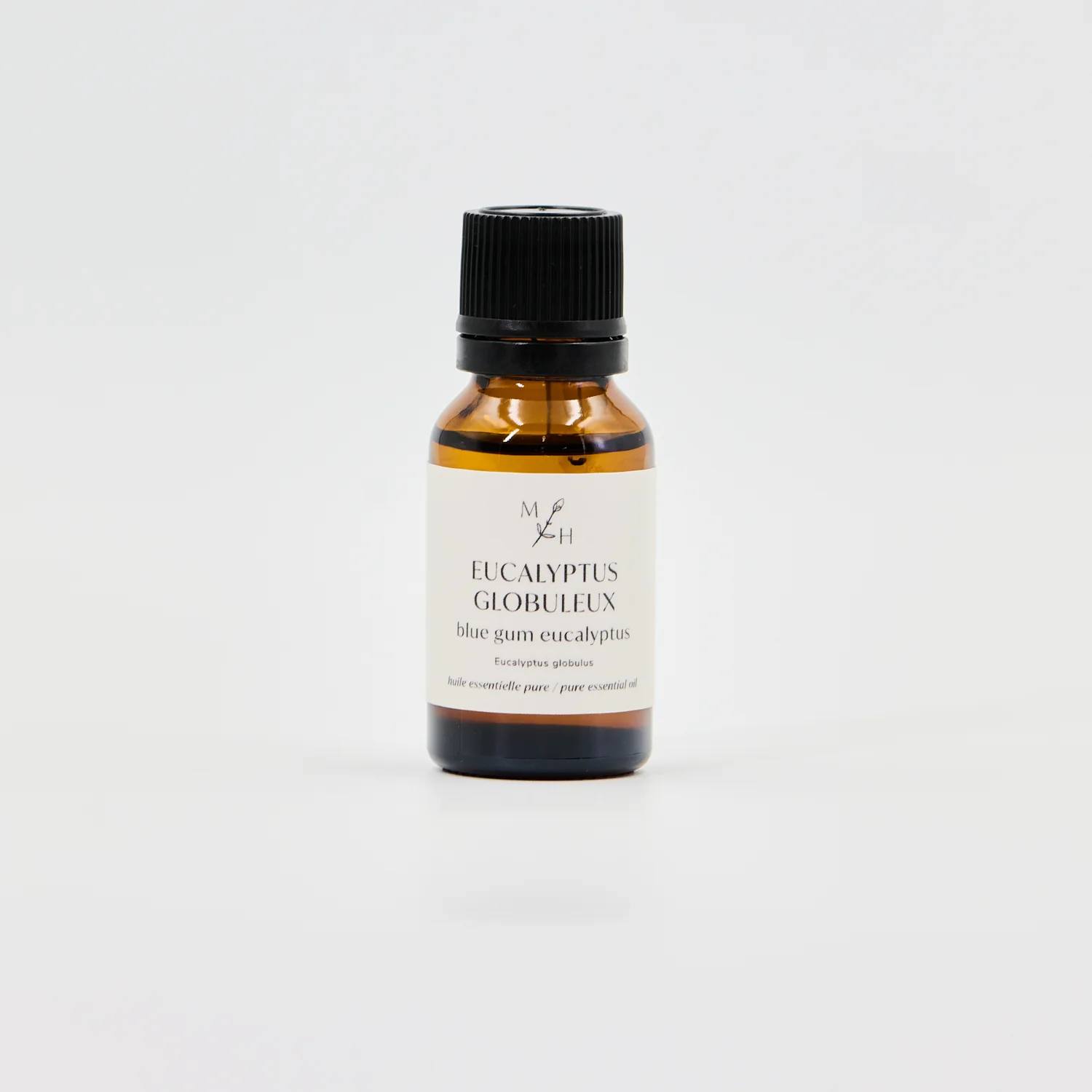 Eucalyptus globuleux