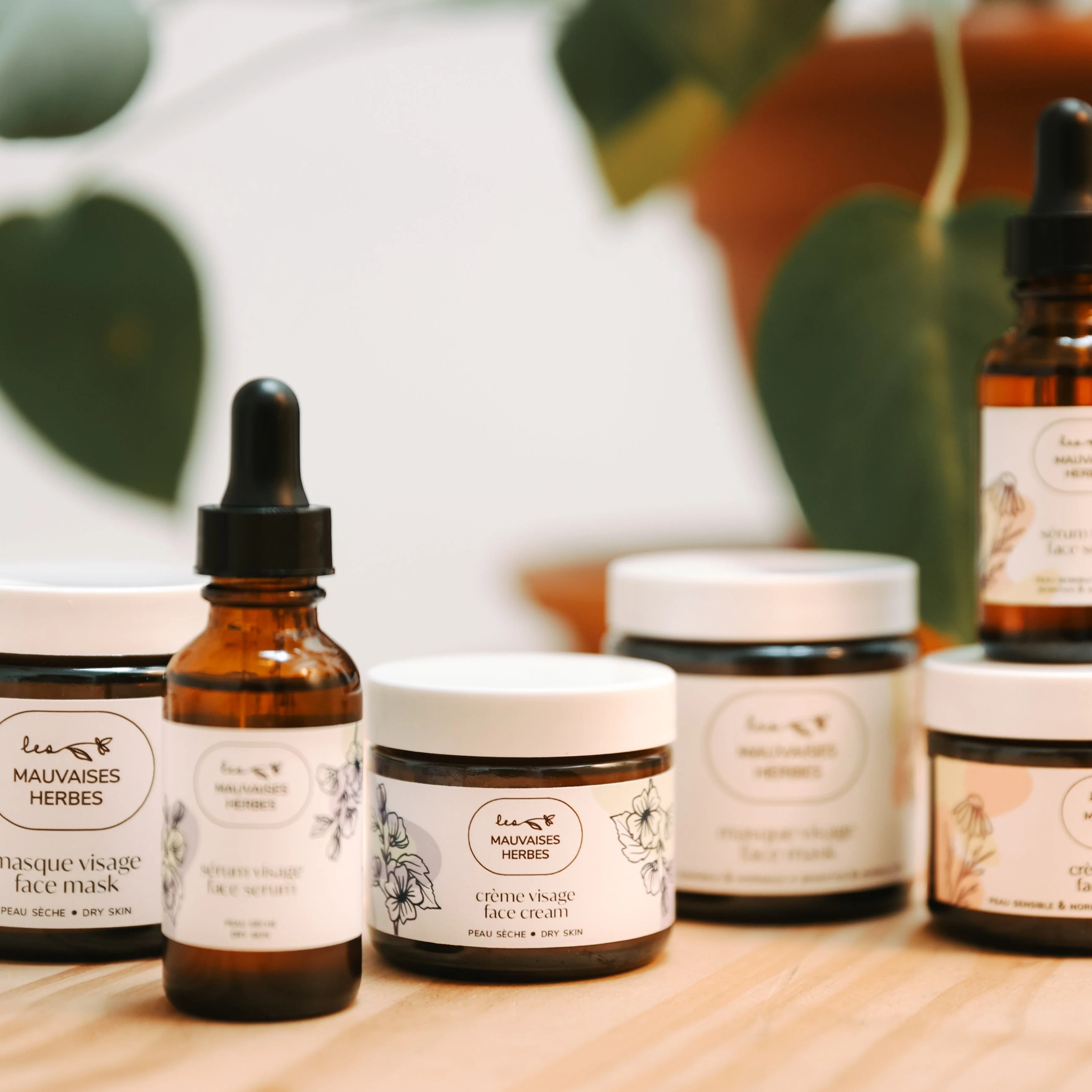 Sérum visage Guimauve | peau sèche - Image 4