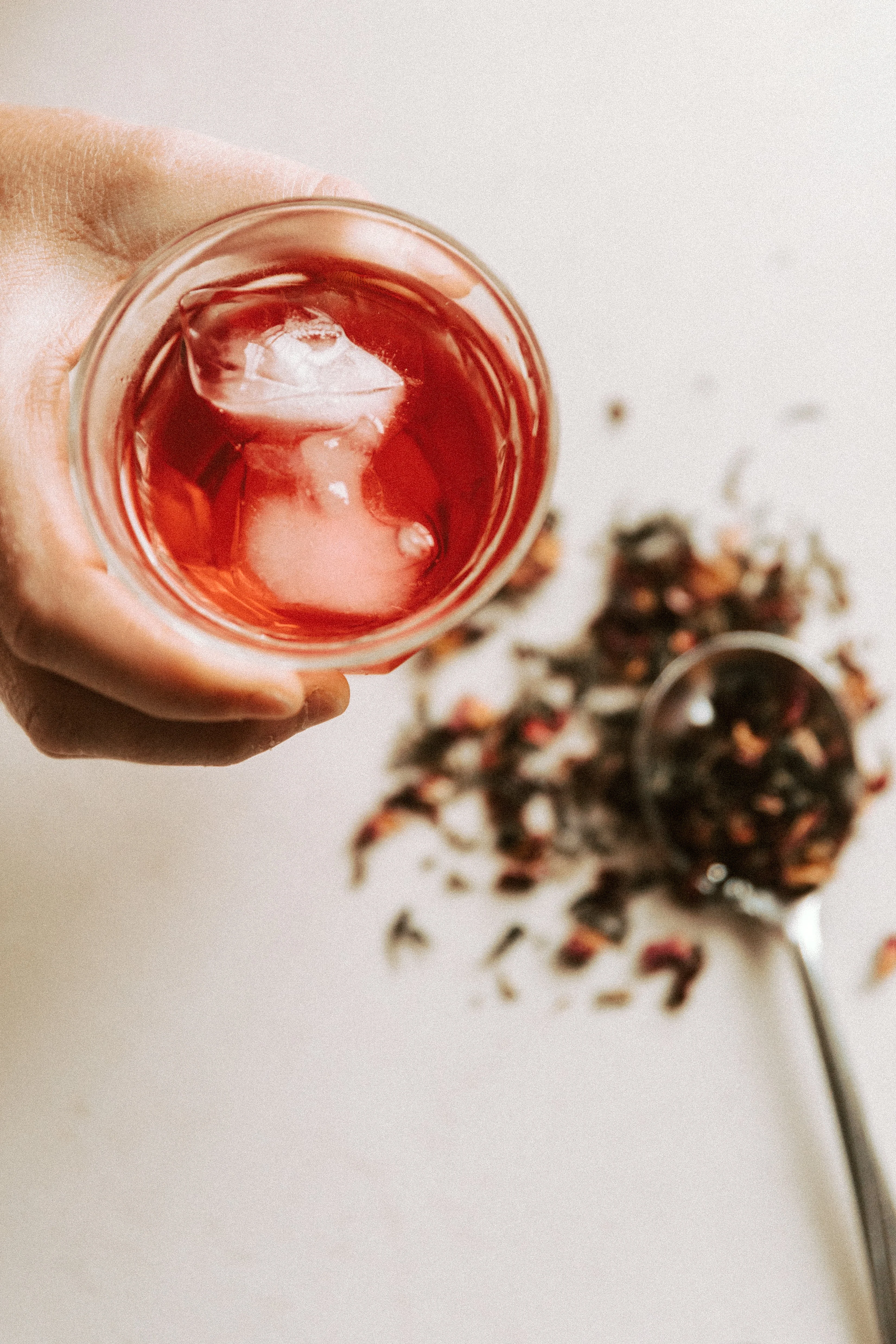 Thé glacé - hibiscus et mélisse - WHOLESALE - Image 3